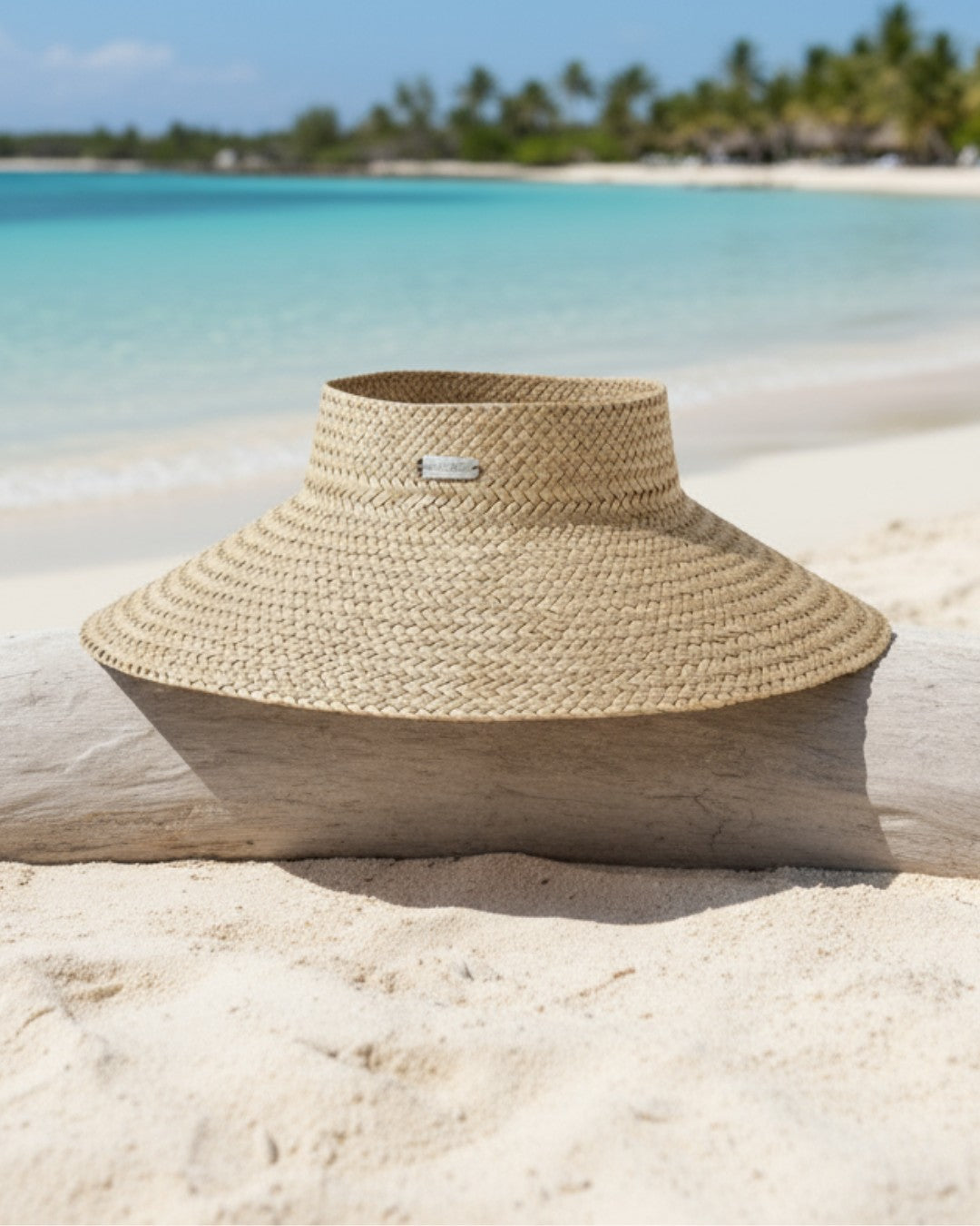 Straw hat on a log with a beach and ocean background